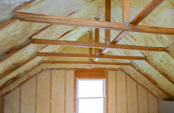 Garage Insulation Installation in Hawaiian Ocean View, HI