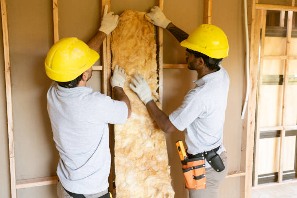 Best Home Insulation Services  in Hawaiian Ocean View, HI