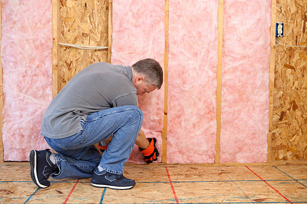 Best Local Insulation Services  in Hawaiian Ocean View, HI