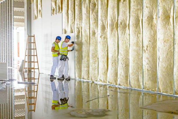 Best Wall Insulation Contractor  in Hawaiian Ocean View, HI